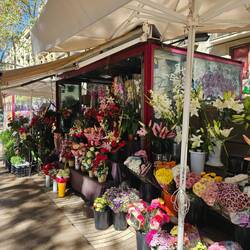 Flower stall on LA Rambla