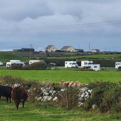 Our walk from the cottage to Gus OConnors Pub. The cows on the right were hanging over the wall.