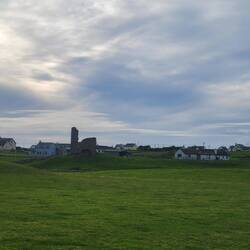 The cattle and sheep in this pasture had their own ruins. Our walk to old town.