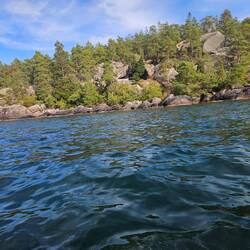 Can you see the shelter?