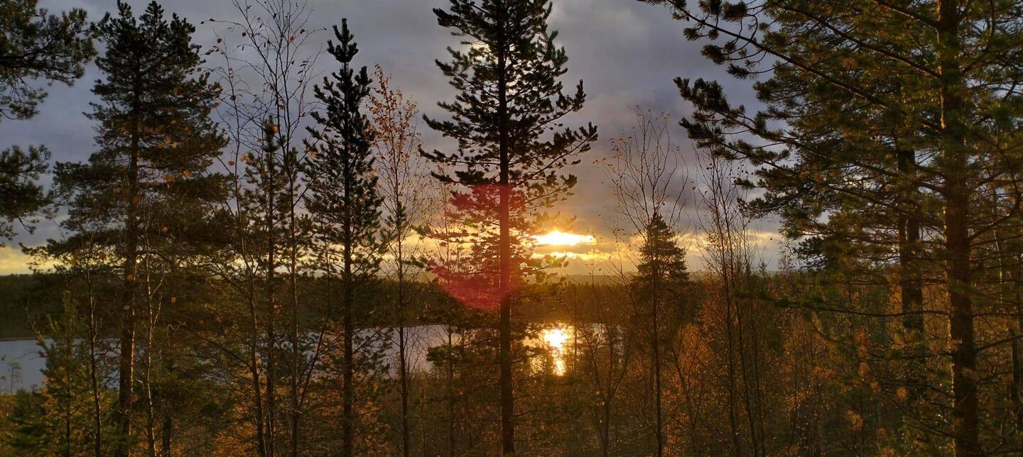 Die Sonne war heute wieder da🫶🍀🇫🇮