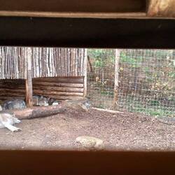 Wir im Hundestall😅