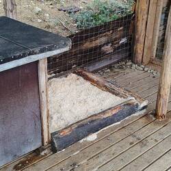 Neuer Kuschelplatz vor der Hundehütte