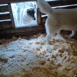 Erste Inspektion🐶🐾🥰