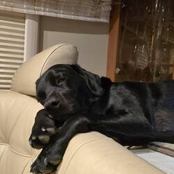 Niska tired out at end of day after walking up all those hills