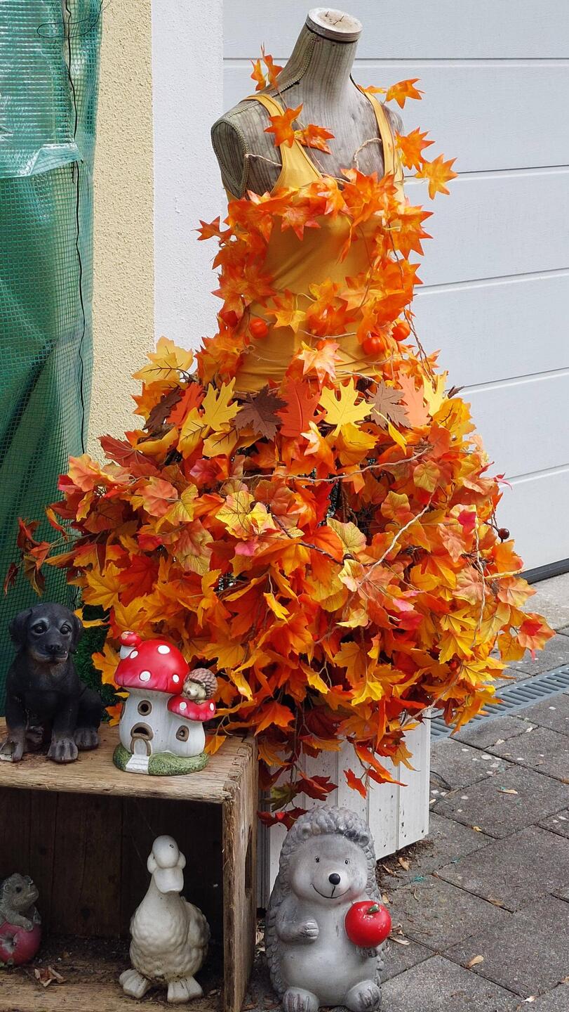 Der Herbst kommt ins Land!