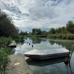 Dann geht's durch ein NSG mit vielen Altarmen!