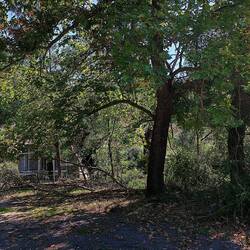 Und dann verschwindet es in der Natur