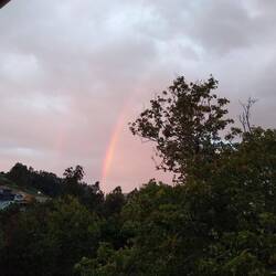 We ended the day with a lovely rainbow.