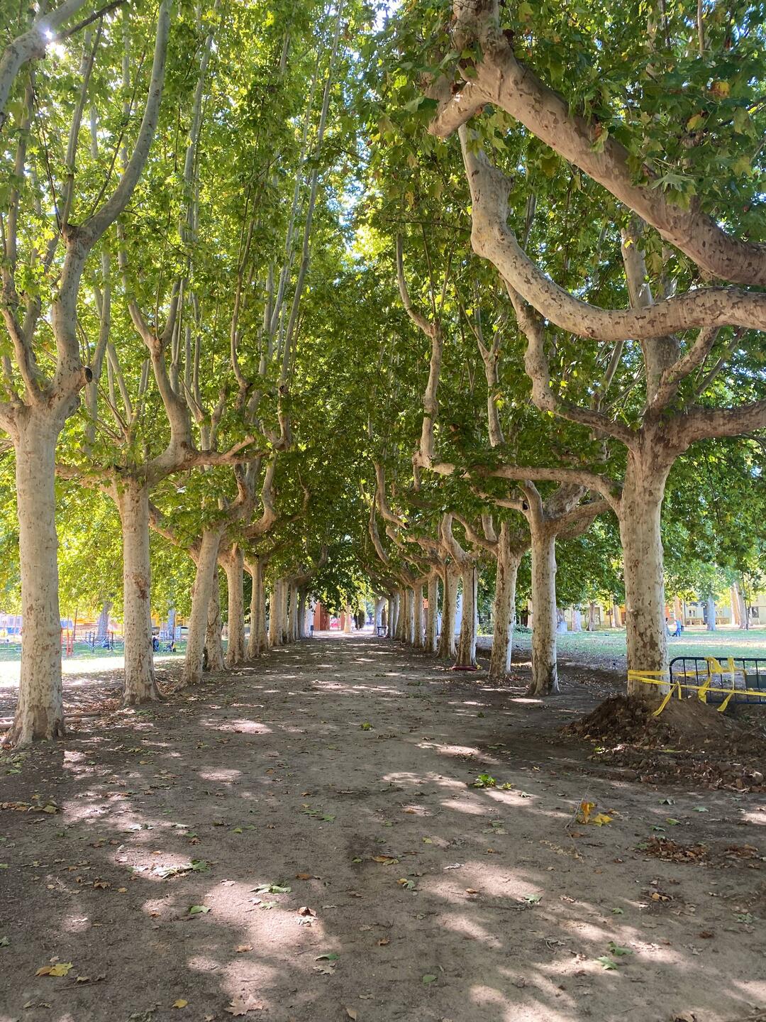 First stop - Devesa Park for a quick workout