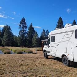 Knapp Family Lavender Farm
