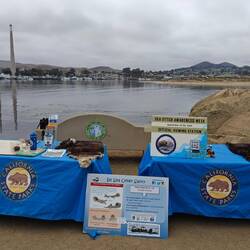 Der Stand zur sea otter awareness week