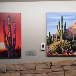 Bunte Kunst vom bunten Tucson / Arizona