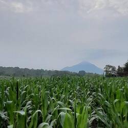 Der Bromo🌋 aus einigermassen sicherer Entfernung.