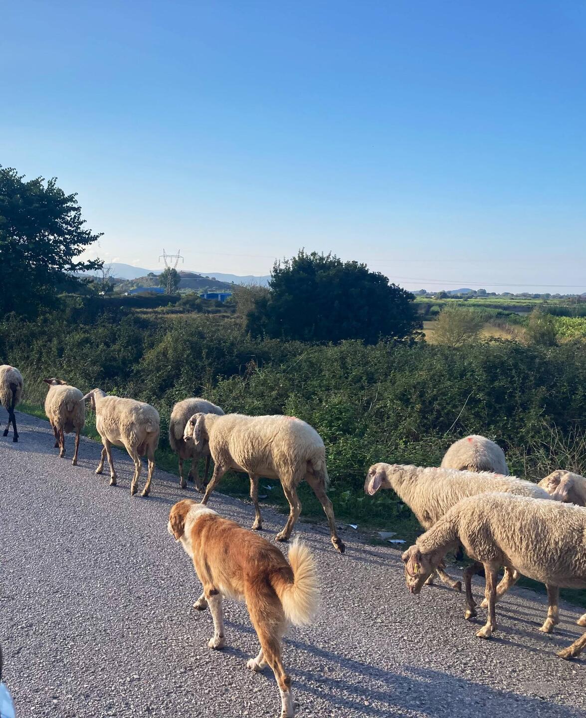 Freitag, 27.09. | getroffen auf der Hauptstraße 😅