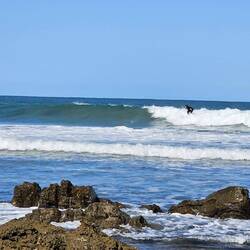 Just when we thought we had the beach to ourselves, we find we are sharing the beach with 1 surfer
