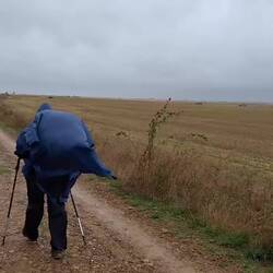 Pretty breezy on the Maseta plateau, at about 950m.