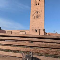 'Kech mosque