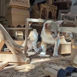 Fez carpenter souks