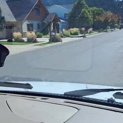 Rehe mitten im Wohngebiet. Hier ganz normal