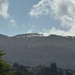 Greg told us, "There's a crocodile on the top of that mountain. " Do you see it?
