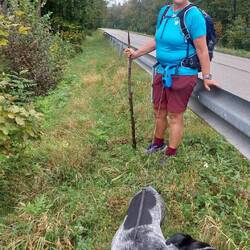 Eine Weile ging es hier entlang!