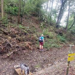 Sehr steil ohne Weg, aber richtig!😂