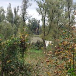 ... und im Hintergrund der erste Blickkontakt!