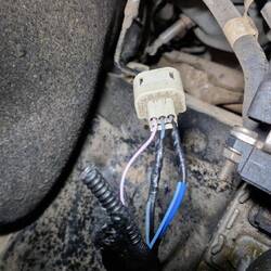 Diff.druck Sensor