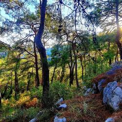 Wanderung zu den ewigen Feuern