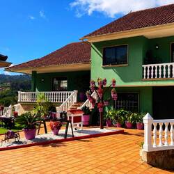 Beautiful homes