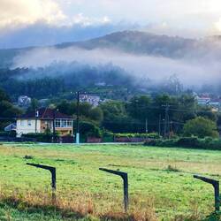 Early morning fog