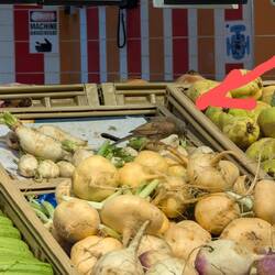 Piepmatz in der Gemüseabteilung