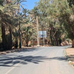 In der Oasenstadt ist es wieder staubfrei