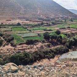 Gemüsefelder am Fluss