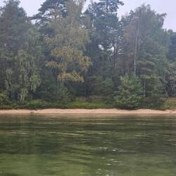 Shores look different again