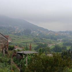 In the morning, before the fog burned off.