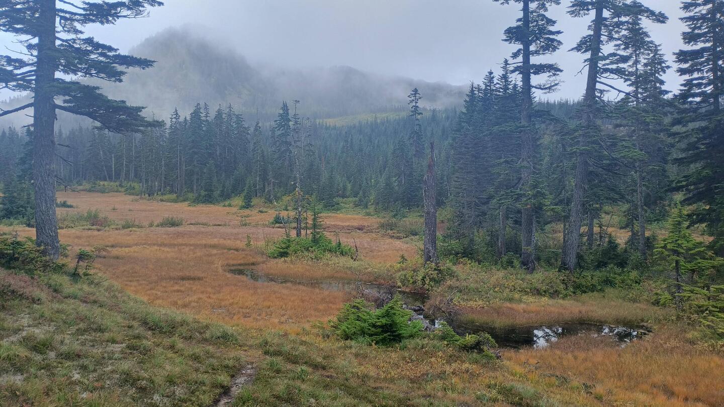 Hier sind wir am morgen gestartet