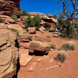 Höhlenbewohner spotted