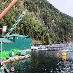 One of the fish farms receiving pallets of fish food