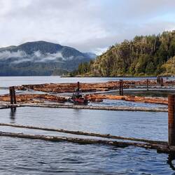 Logging operation next to the dock: fun watching the side-winder boat push the logs around