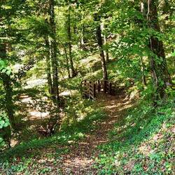 Paths through parks