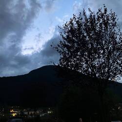 Schööne Obed und guet Nacht😴