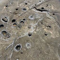 Check out the volcanic 'stones'.