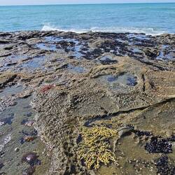 Simply an act of creation