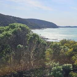 View from Cathedral Rock