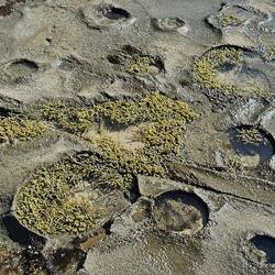 Each of these holes is the beginning of a plant's life.