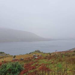 Killary Fjord - Bild aus Dezember 2021