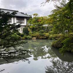 Intimate, peaceful gardens