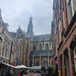 Dom
